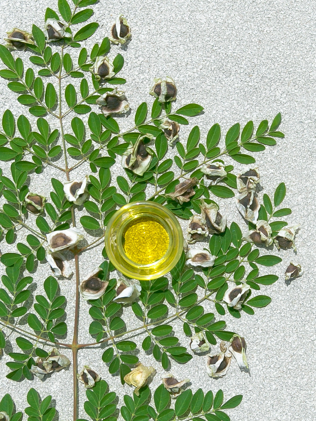 hair care and moringa