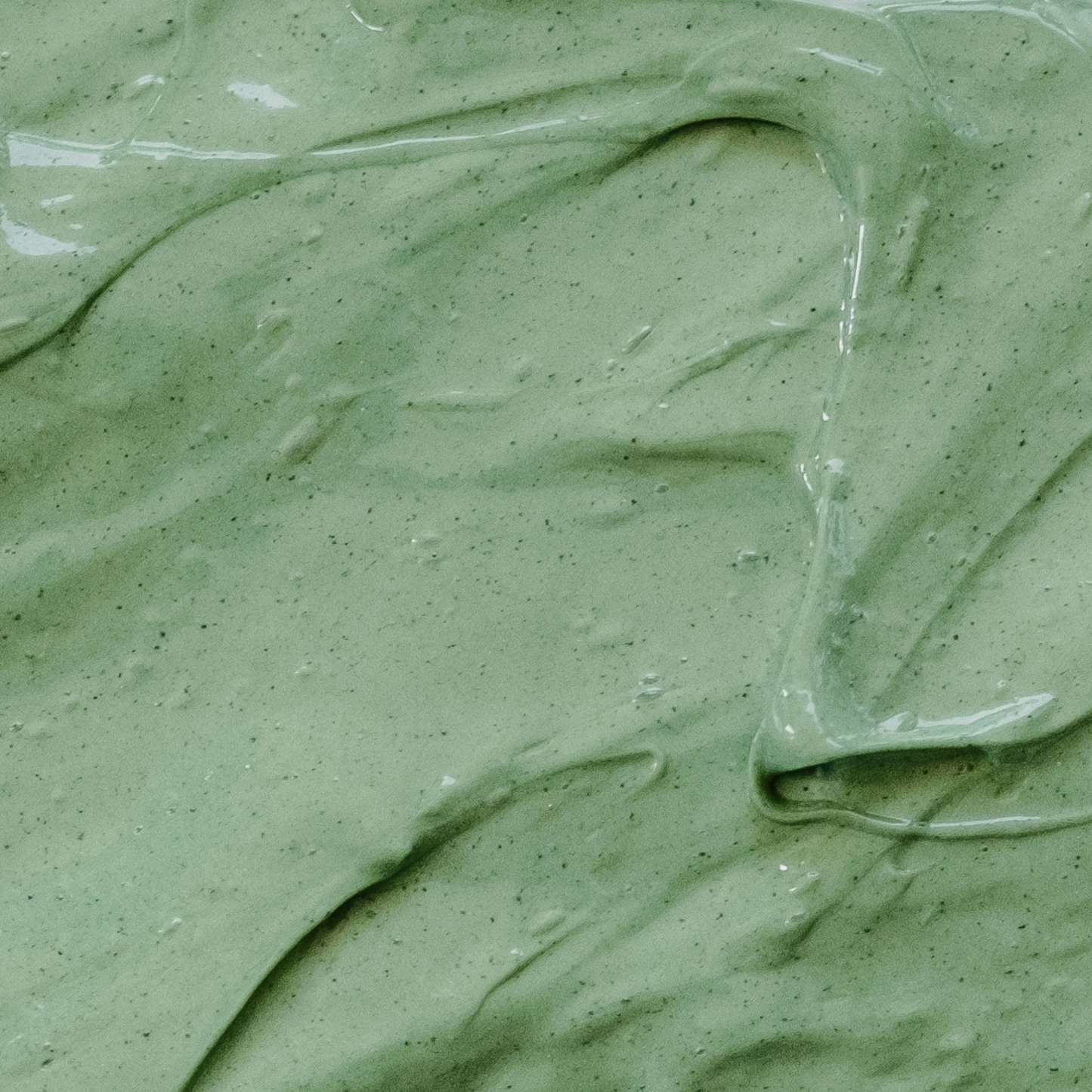 Moringa Clay Face Mask