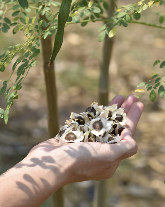 Earth Day 2025: 6 Everyday Habits That Are Great for the Planet