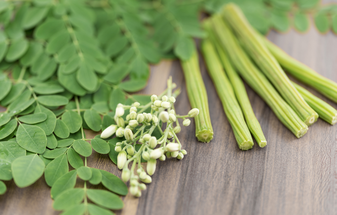 The Science Behind Moringa