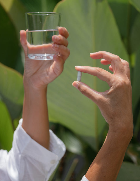 Moringa leaf extract capsules and immunity