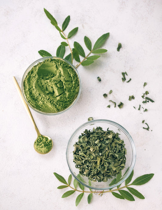 why you should drink Moringa Tea