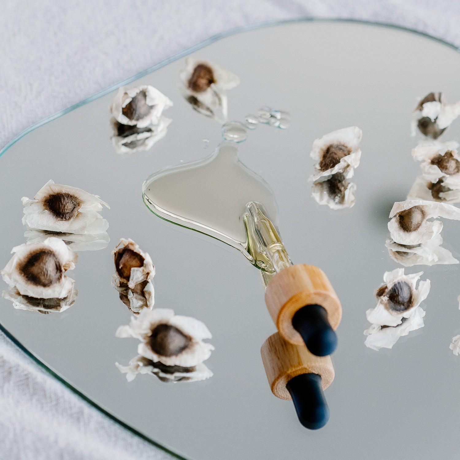 Moringa Seed and Oil 